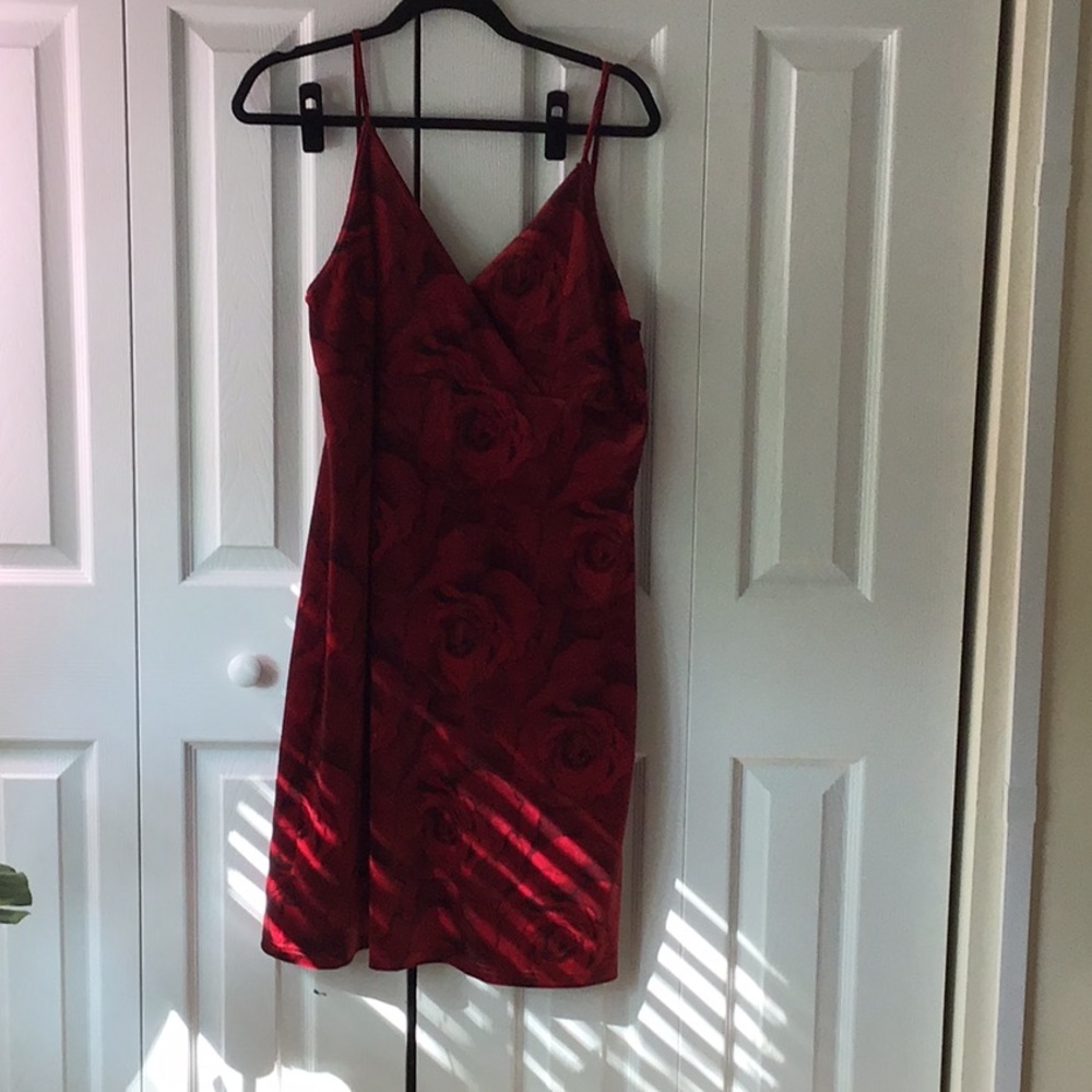 Velvet Rose Dress